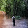 The Hidden Value of Waiting Before Making Important Decisions